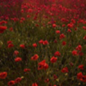 Meet your Posher, Too